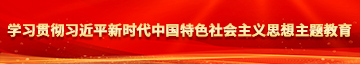 艹艹艹操网学习贯彻习近平新时代中国特色社会主义思想主题教育